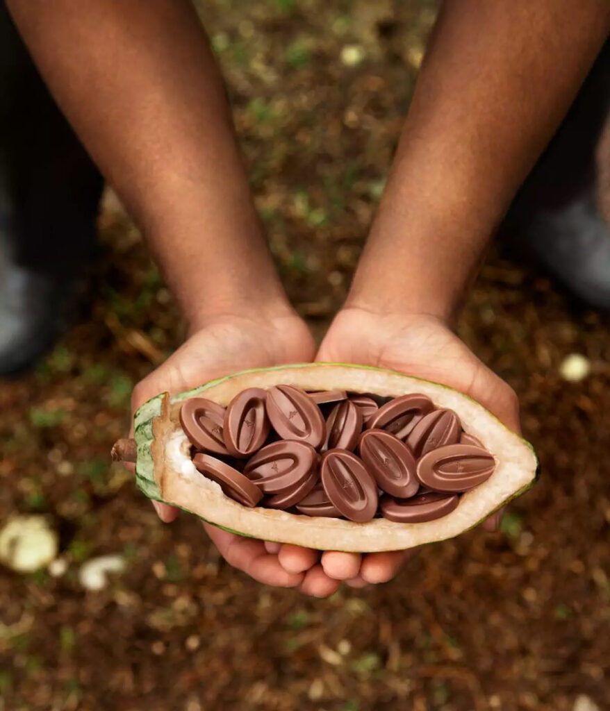 Chocolat-Valrhona